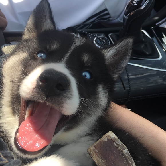 Hi everyone! I’m Linda! - Picture 5 of 8